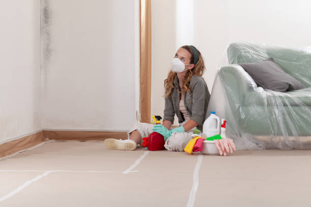 Reliable Mold Removal contractor in Wheaton, IL by Mold Remediation HQ
